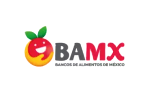 bamx-op