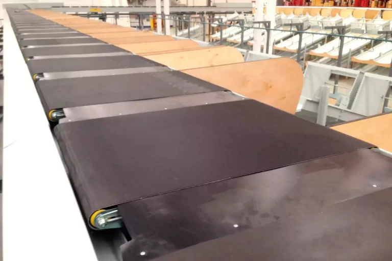 Lee más sobre el artículo Sistema de clasificación